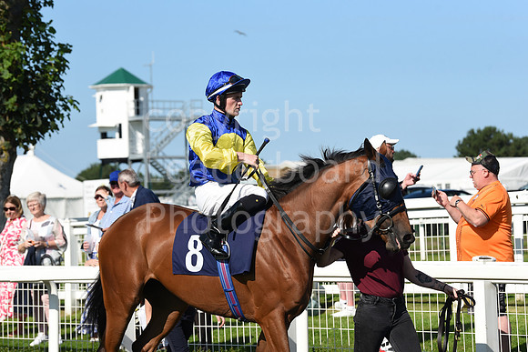 Gt_Yarm_Racing_10_Aug_2023-101