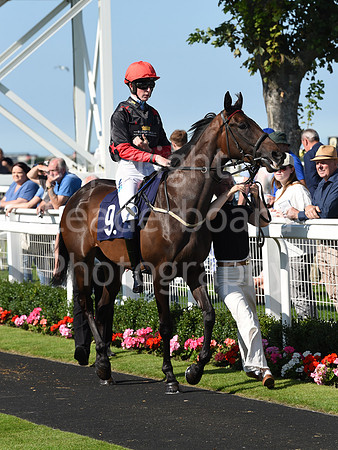 Gt_Yarm_Racing_10_Aug_2023-109