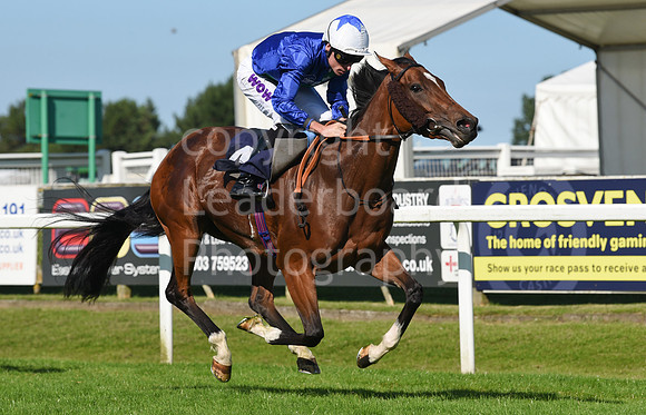Gt_Yarm_Racing_10_Aug_2023-114