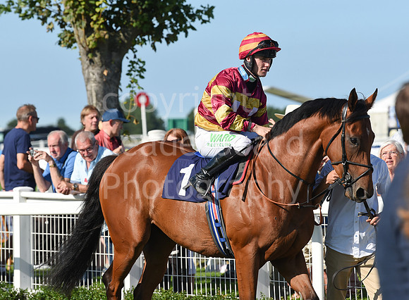 Gt_Yarm_Racing_10_Aug_2023-134