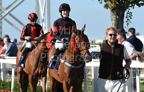 Gt_Yarm_Racing_10_Aug_2023-171