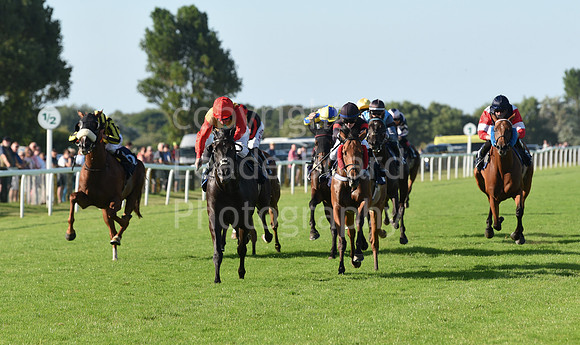 Gt_Yarm_Racing_10_Aug_2023-177