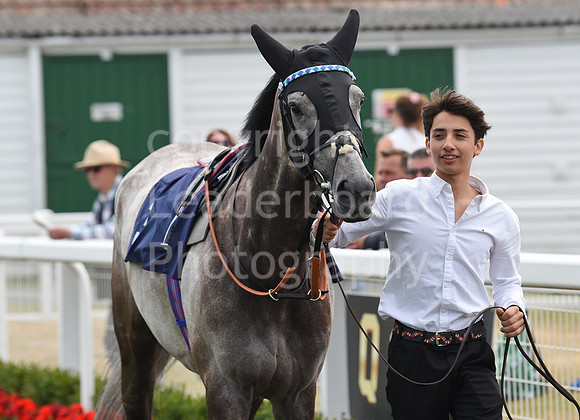 Gt_Yarm_26_July_2022-55