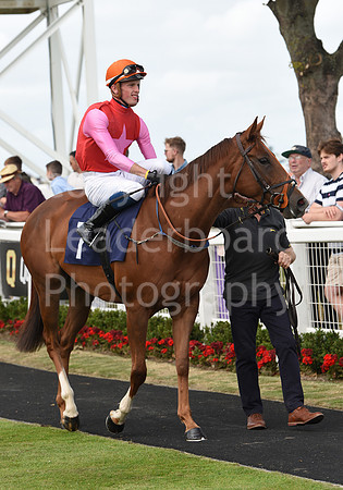 Gt_Yarm_26_July_2022-181