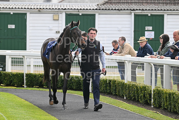 Gt_Yarm_May14_2025-3