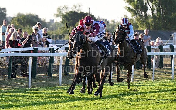 Gt_Yarm_Ladies Night_2025-135