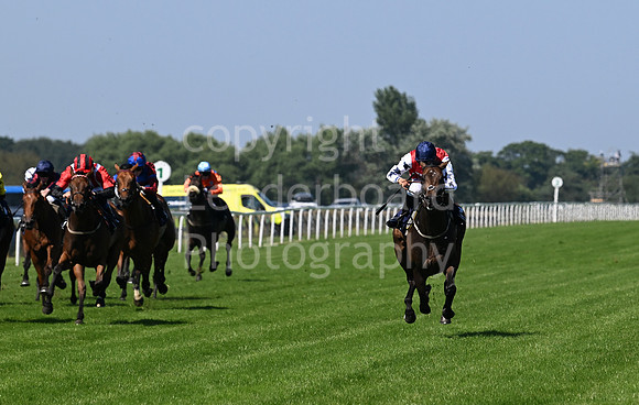 Gt_Yarm_July_30_2024-120