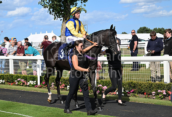 Gt_Yarm_25_Aug_Family_Raceday_2024-101