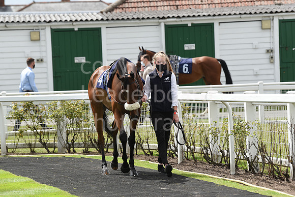 Great_Yarm_Racing_15July-3