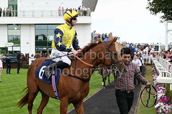 Gt_Yarm_24_Aug_2025-45