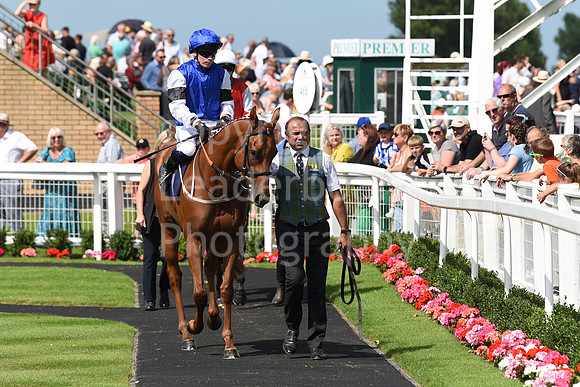 Gt_Yarm_Racing_16_Aug_2023-4