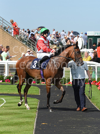 Gt_Yarm_Racing_16_Aug_2023-7