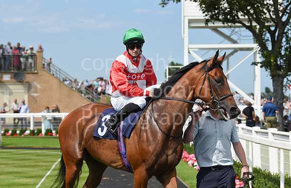 Gt_Yarm_Racing_16_Aug_2023-8