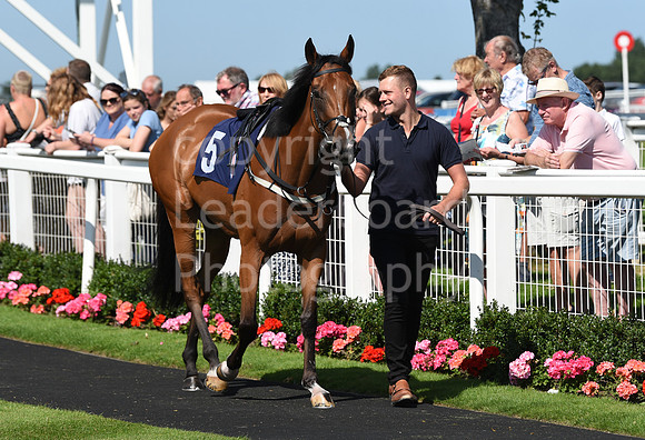 Gt_Yarm_Racing_16_Aug_2023-22