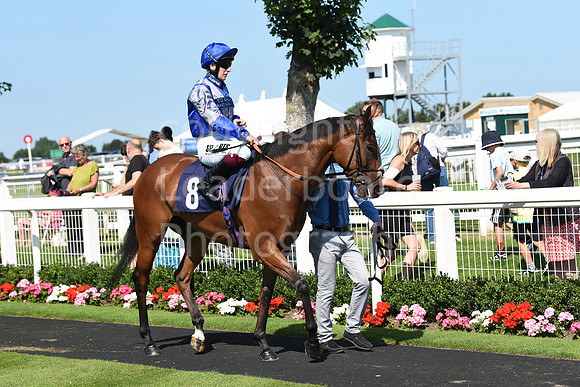 Gt_Yarm_Racing_16_Aug_2023-25