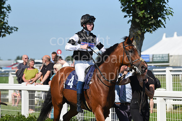Gt_Yarm_Racing_16_Aug_2023-26