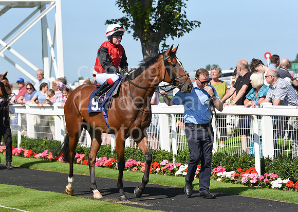 Gt_Yarm_Racing_16_Aug_2023-27