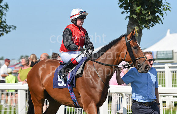 Gt_Yarm_Racing_16_Aug_2023-28