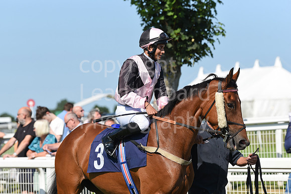 Gt_Yarm_Racing_16_Aug_2023-29