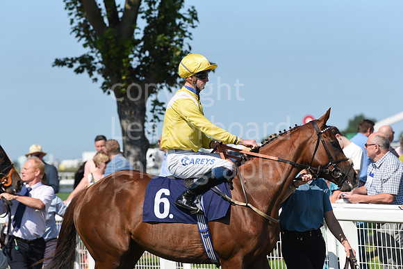 Gt_Yarm_Racing_16_Aug_2023-31