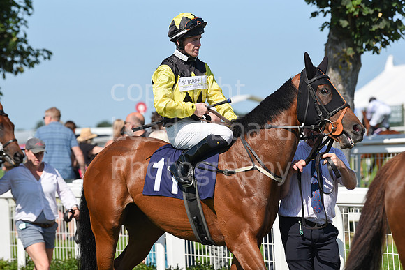 Gt_Yarm_Racing_16_Aug_2023-32