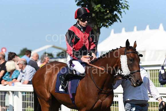 Gt_Yarm_Racing_16_Aug_2023-33