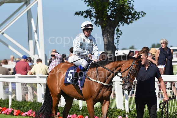Gt_Yarm_Racing_16_Aug_2023-35