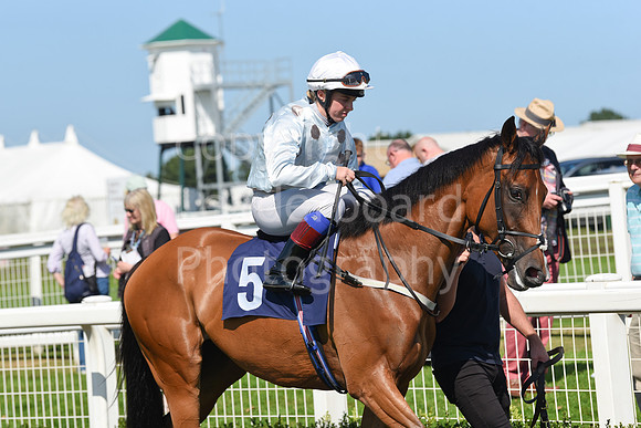 Gt_Yarm_Racing_16_Aug_2023-36