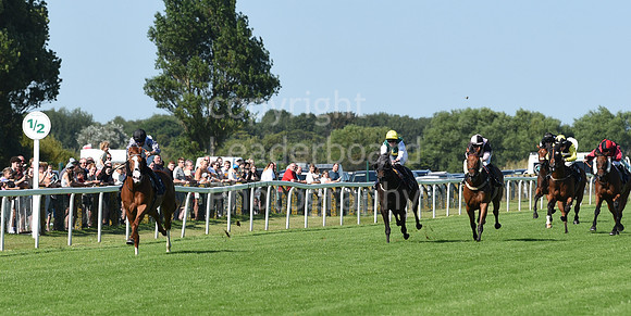 Gt_Yarm_Racing_16_Aug_2023-37