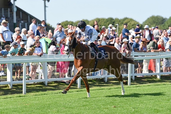 Gt_Yarm_Racing_16_Aug_2023-41