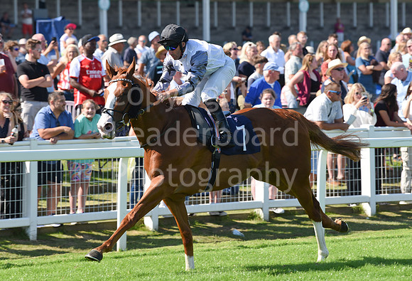 Gt_Yarm_Racing_16_Aug_2023-43