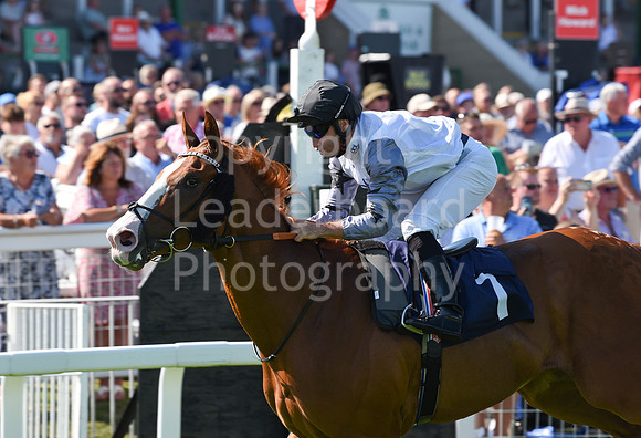 Gt_Yarm_Racing_16_Aug_2023-45