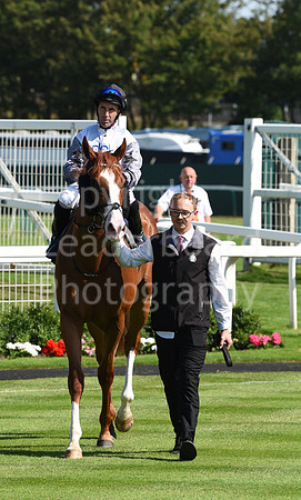 Gt_Yarm_Racing_16_Aug_2023-47