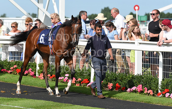 Gt_Yarm_Racing_16_Aug_2023-52