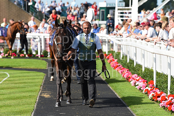 Gt_Yarm_Racing_16_Aug_2023-57