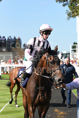 Gt_Yarm_Racing_16_Aug_2023-62