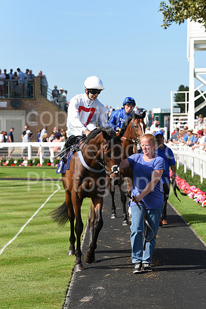 Gt_Yarm_Racing_16_Aug_2023-63