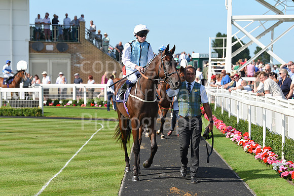 Gt_Yarm_Racing_16_Aug_2023-66