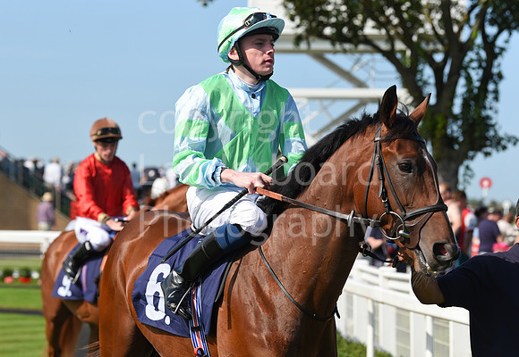 Gt_Yarm_Racing_16_Aug_2023-70