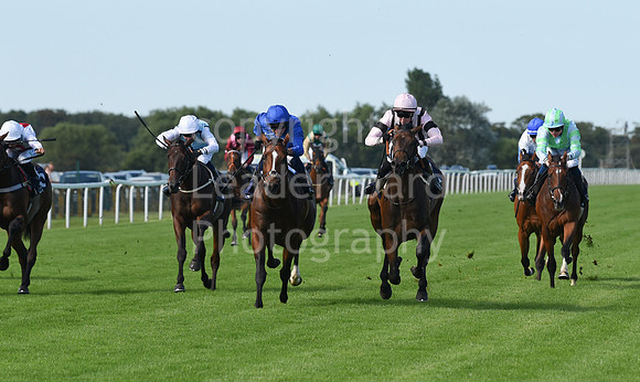 Gt_Yarm_Racing_16_Aug_2023-74
