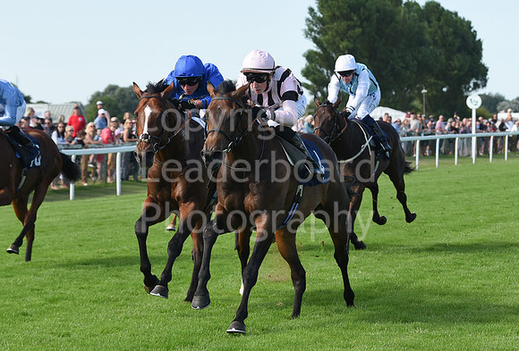 Gt_Yarm_Racing_16_Aug_2023-79
