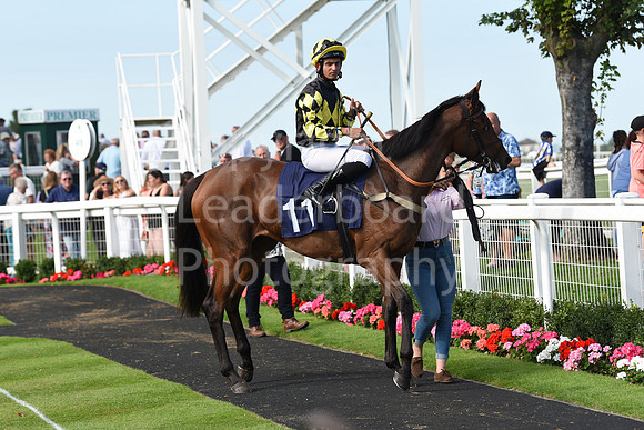 Gt_Yarm_Racing_16_Aug_2023-98