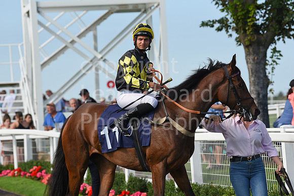 Gt_Yarm_Racing_16_Aug_2023-99
