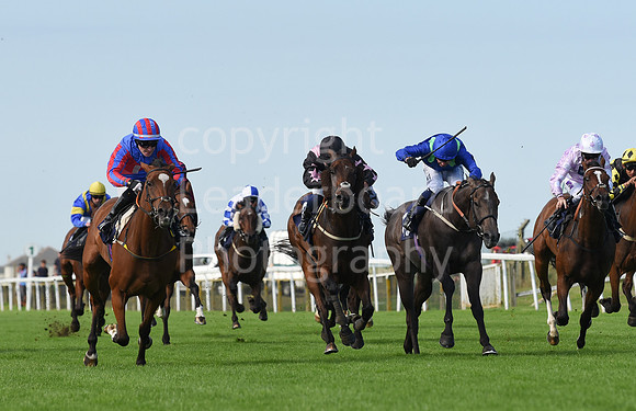 Gt_Yarm_Racing_16_Aug_2023-103