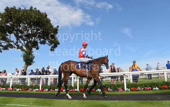Gt_Yarm_Racing_16_Aug_2023-105