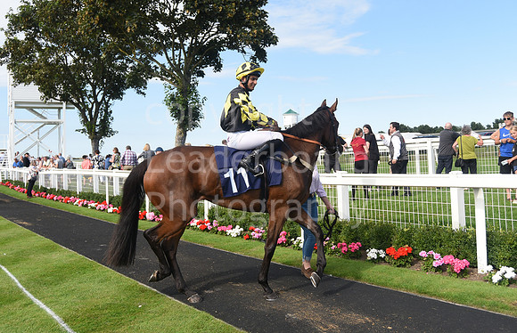 Gt_Yarm_Racing_16_Aug_2023-109