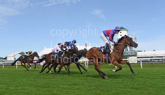 Gt_Yarm_Racing_16_Aug_2023-113