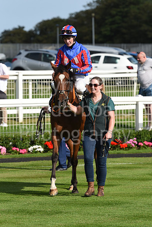 Gt_Yarm_Racing_16_Aug_2023-115