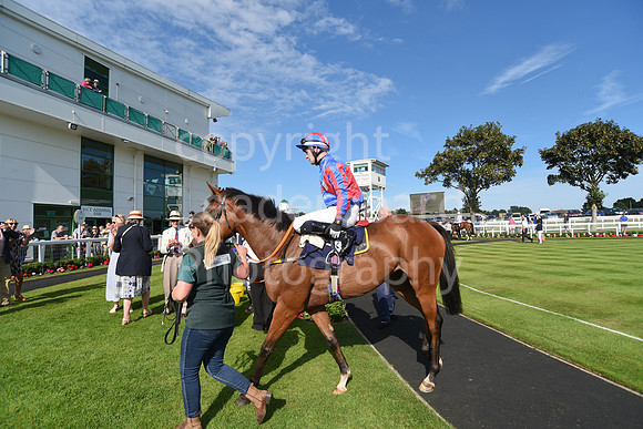 Gt_Yarm_Racing_16_Aug_2023-120