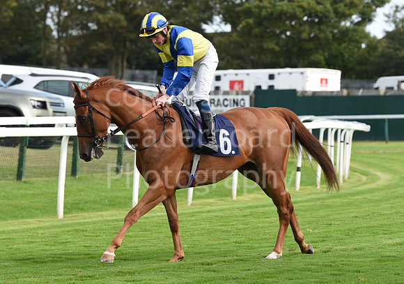 Gt_Yarm_Racing_16_Aug_2023-129